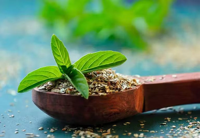 Best Time to Take Moringa for Maximum Benefits